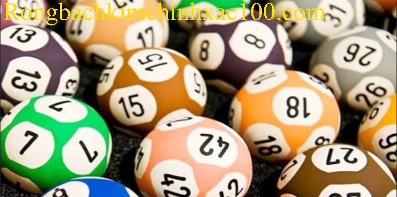 Tổng hợp phương pháp nuôi 3 càng khung 7 ngày chính xác nhất