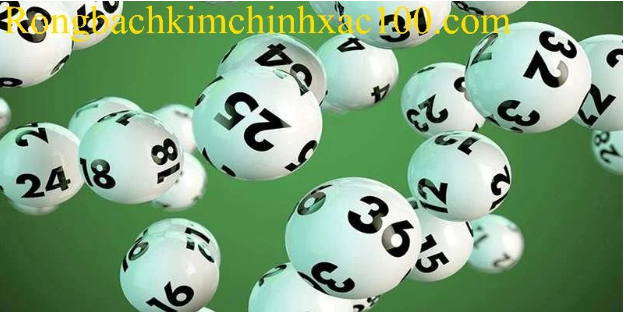 Dàn đề 50 số bất bại miễn phí hôm nay