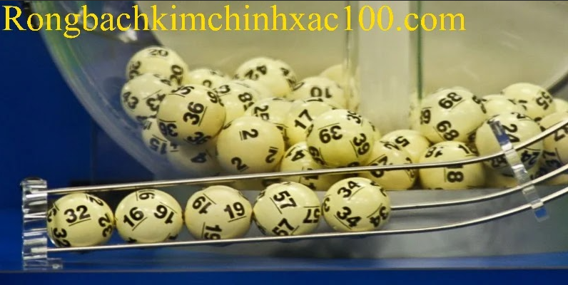 Khái quát thông tin cơ bản của đề về đầu 4 đánh gì hôm nay