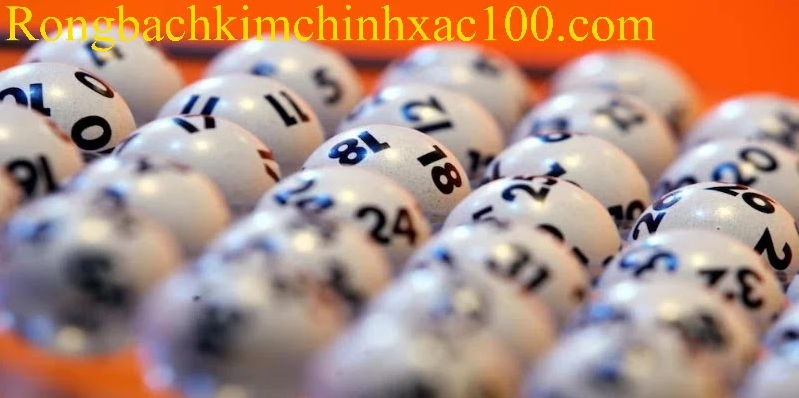 Lưu ý quan trọng cần biết khi soi cầu Rồng Bạch Kim 777