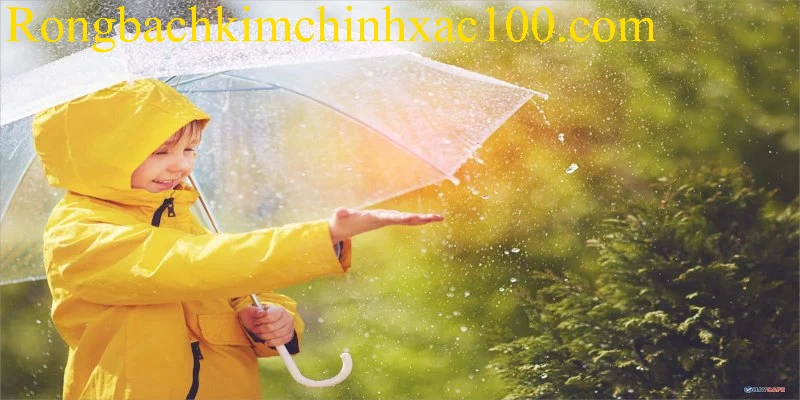 Khám phá các điềm báo chung khi mơ thấy áo mưa