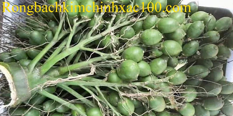 Mơ thấy buồng cau được xem như điềm báo cát lợi