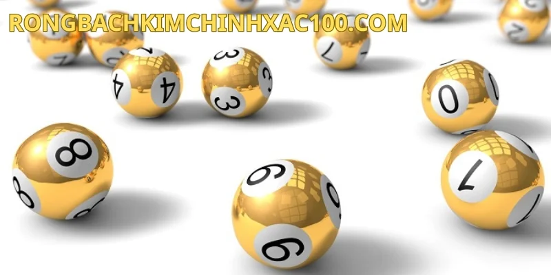 Phân tích chi tiết để chọn lô đầu 1 câm hôm sau đánh con gì