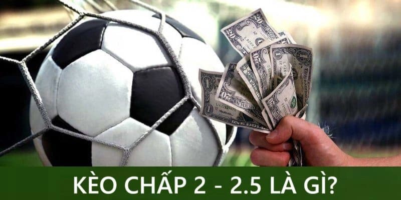 8xbet vs 188BET - Nhà Cái Nào Cung Cấp Tỷ Lệ Cá Cược Tốt Hơn Trong Năm 2026?